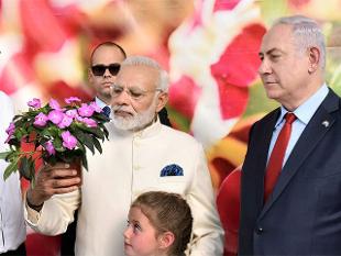 इजराइल सरकार ने गुलदाउदी फूल का नाम रखा मोदी